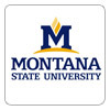 Montana State University at Bozeman logo